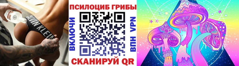 Галлюциногенные грибы мицелий  Сельцо 